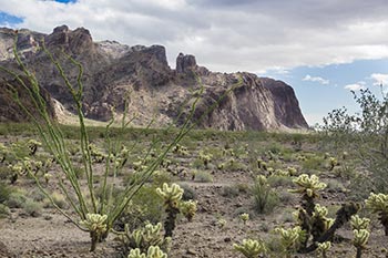 Quartzite AZ - Auto Glass Repair Shop